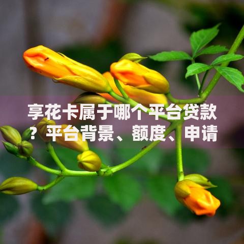 享花卡属于哪个平台贷款？平台背景、额度、申请流程全面解析