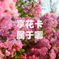 享花卡属于哪个平台贷款？平台背景、额度、申请流程全面解析