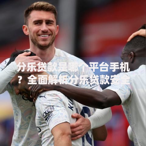 分乐贷款是哪个平台手机？全面解析分乐贷款安全性与申请流程
