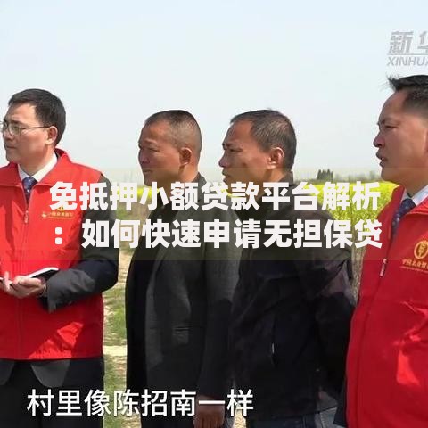 免抵押小额贷款平台解析：如何快速申请无担保贷款