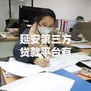 延安第三方贷款平台有哪些？贷款流程、利率及风险全解析