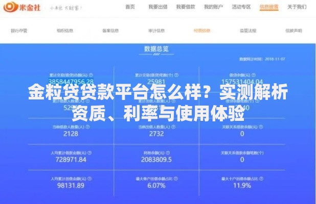 金粒贷贷款平台怎么样？实测解析资质、利率与使用体验