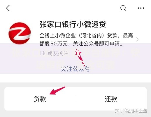 张家口上门贷款平台推荐：快速审批，安全可靠