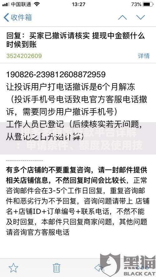 拼多多商家贷款平台详解：申请条件、额度及使用技巧