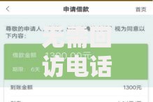 无需回访电话的贷款平台推荐：快速下款更省心