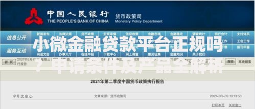 小微金融贷款平台正规吗？申请条件及产品全解析