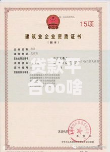 贷款平台oo啥的靠谱吗？解析平台资质与申请攻略