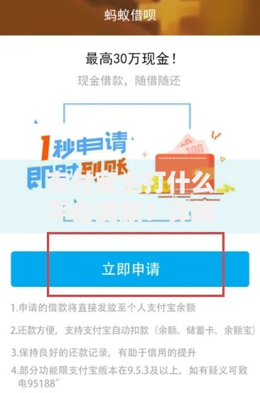 支付宝主打什么平台贷款？详解主流产品与申请技巧