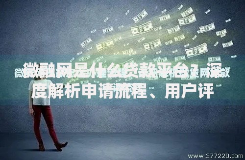微融网是什么贷款平台？深度解析申请流程、用户评价与风险提示