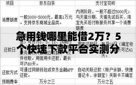 急用钱哪里能借2万？5个快速下款平台实测分析