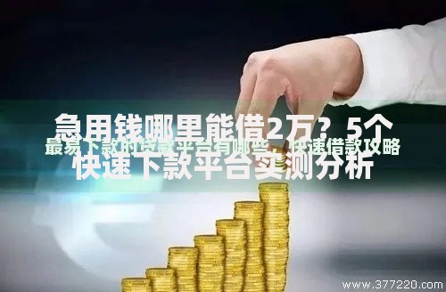 急用钱哪里能借2万？5个快速下款平台实测分析
