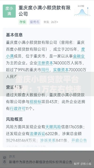 重庆小额贷款平台推荐：1万左右快速借款指南