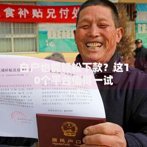 白户也能轻松下款？这10个平台值得一试