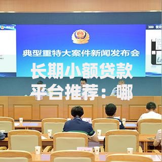 长期小额贷款平台推荐：哪些平台借款期限更灵活？