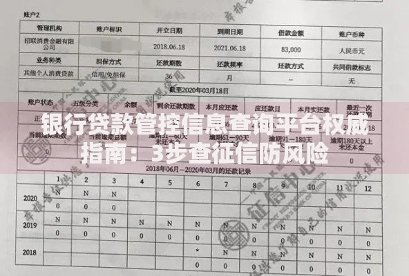 银行贷款管控信息查询平台权威指南：3步查征信防风险