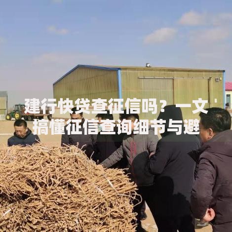 建行快贷查征信吗？一文搞懂征信查询细节与避坑技巧