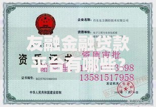 友融金融贷款平台有哪些？资质+产品+申请全解析