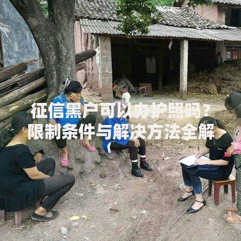征信黑户可以办护照吗？限制条件与解决方法全解析
