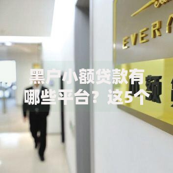 黑户小额贷款有哪些平台？这5个渠道或可尝试