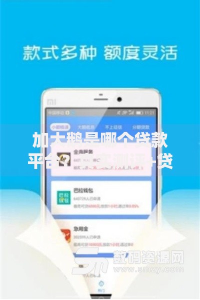 身份证就能贷款的平台有哪些？这10个平台快速到账！