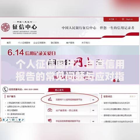 个人征信图片：自查信用报告的常见问题与应对指南