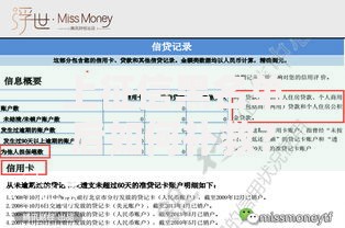 上征信黑名单后如何补救？这些方法能救急