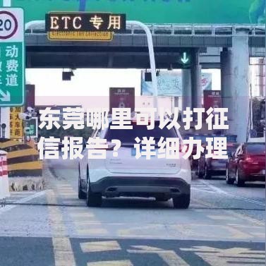 东莞哪里可以打征信报告？详细办理地点与流程指南