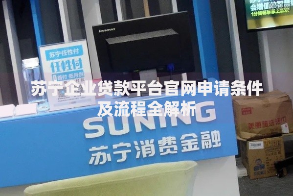 苏宁企业贷款平台官网申请条件及流程全解析