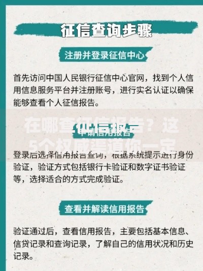 在哪查征信报告？这5个权威渠道你一定要知道
