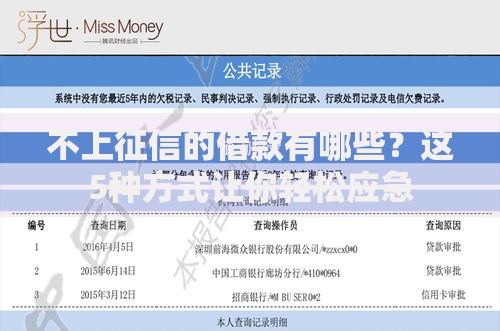 不上征信的借款有哪些？这5种方式让你轻松应急