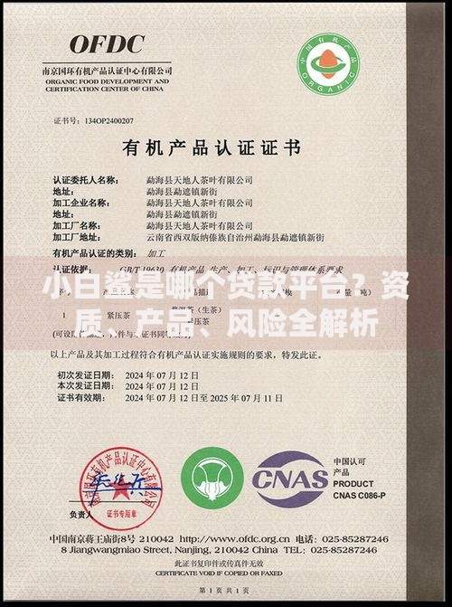 小白鲨是哪个贷款平台？资质、产品、风险全解析