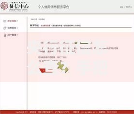 央行征信怎么查？手把手教你快速查询个人信用报告