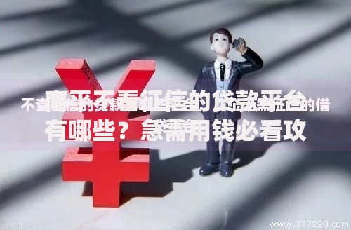 南平不看征信的贷款平台有哪些？急需用钱必看攻略