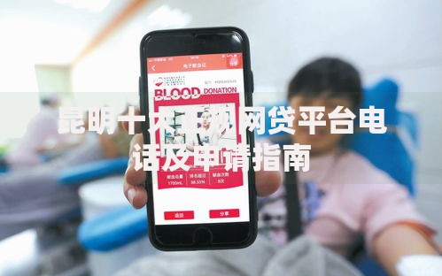 昆明十大正规网贷平台电话及申请指南
