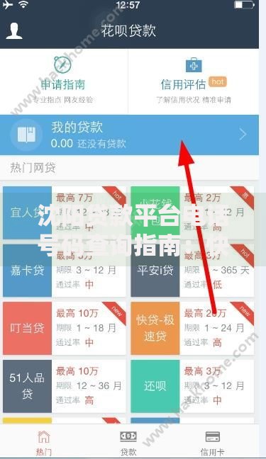 沈阳贷款平台电话号码查询指南：快速获取正规渠道联系方式