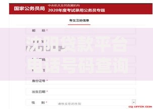 沈阳贷款平台电话号码查询指南：快速获取正规渠道联系方式
