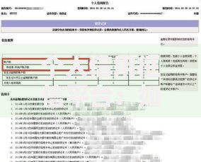 个人信用征信平台：如何快速了解并维护你的信用记录？