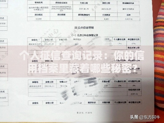 个人征信查询记录：你的信用档案里藏着哪些秘密？