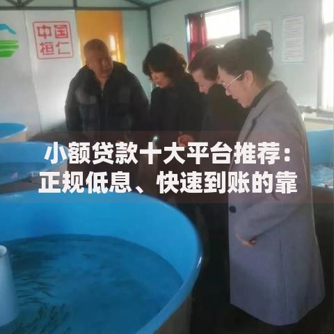 小额贷款十大平台推荐：正规低息、快速到账的靠谱选择