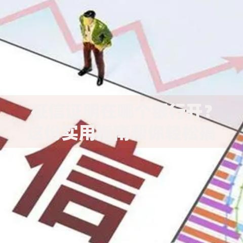 征信证明在哪个银行开？这份实用指南帮你轻松搞定