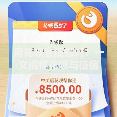 用花呗查征信吗？一文搞懂花呗与征信的关系