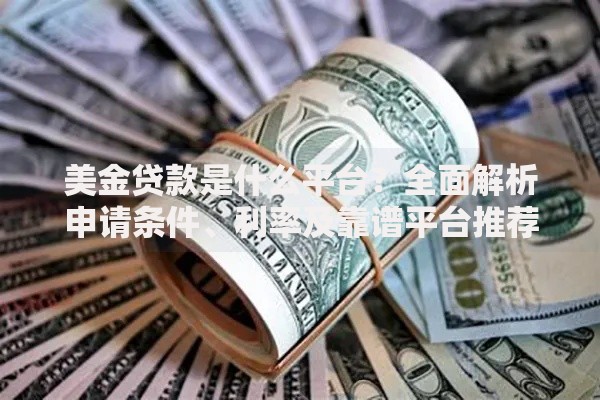 美金贷款是什么平台？全面解析申请条件、利率及靠谱平台推荐