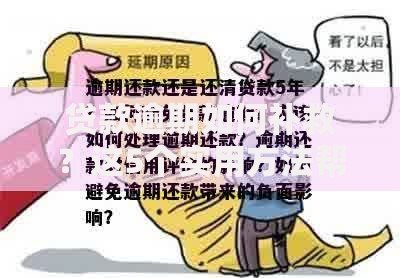 贷款逾期如何补救？这5个实用方法帮你快速化解危机