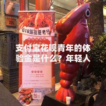 支付宝花呗青年的体验金是什么？年轻人都在用的省钱神器