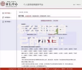 怎么知道自己的征信：手把手教你自查信用报告