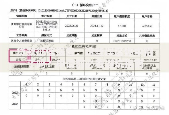 贷款征信报告：这些误区你中招了吗？申请前必看避坑指南