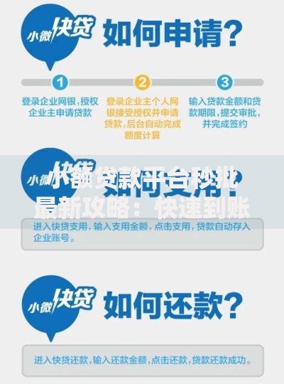 小额贷款平台秒批最新攻略：快速到账必看指南