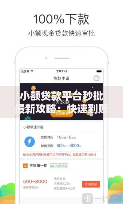 小额贷款平台秒批最新攻略：快速到账必看指南