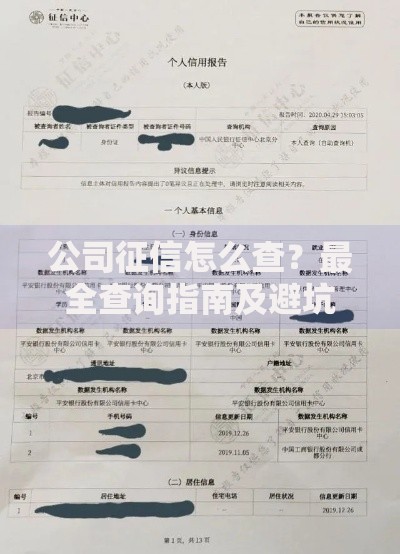 公司征信怎么查？最全查询指南及避坑技巧