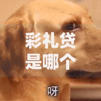 彩礼贷是哪个银行？这些金融机构竟推出“结婚神器”